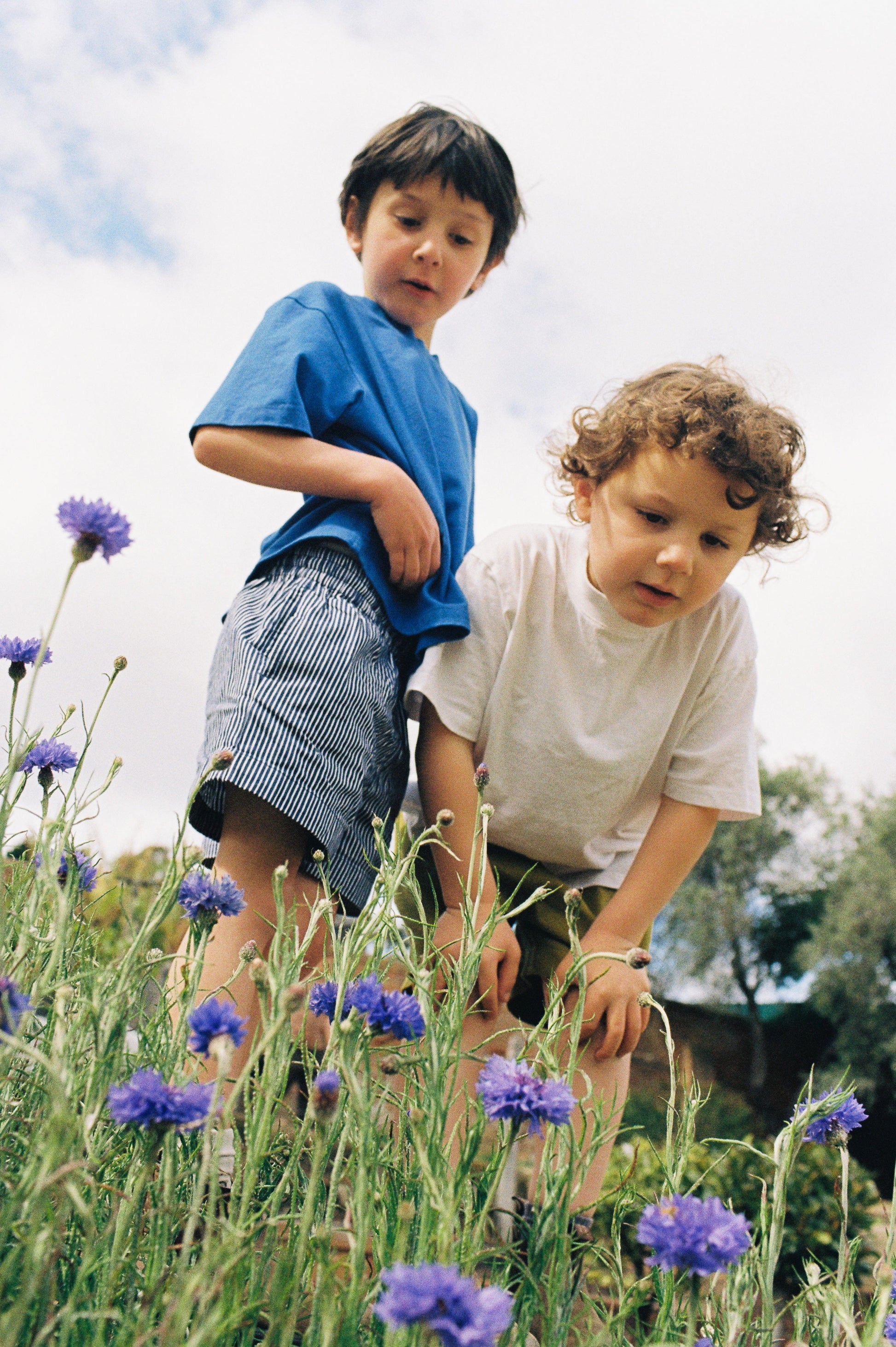 Nowadays Everyday Short