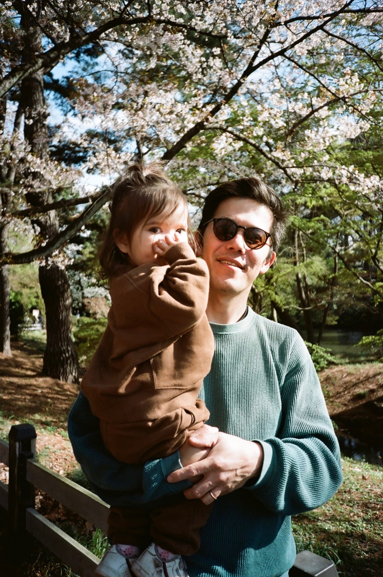 Man holding a child under cherry blossom trees