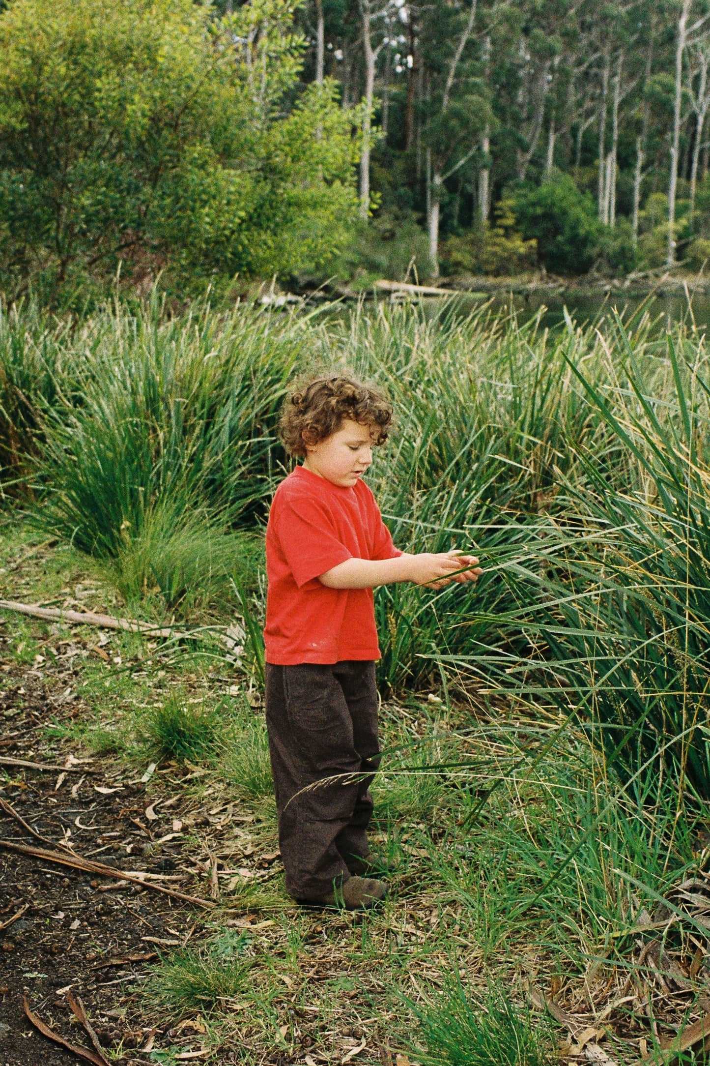 Nowadays Parachute Pant