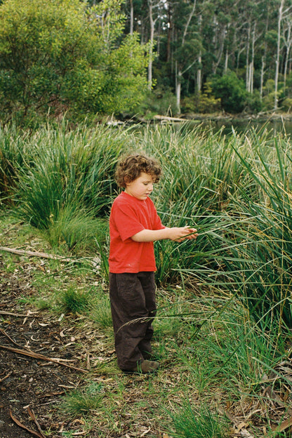 Nowadays Parachute Pant