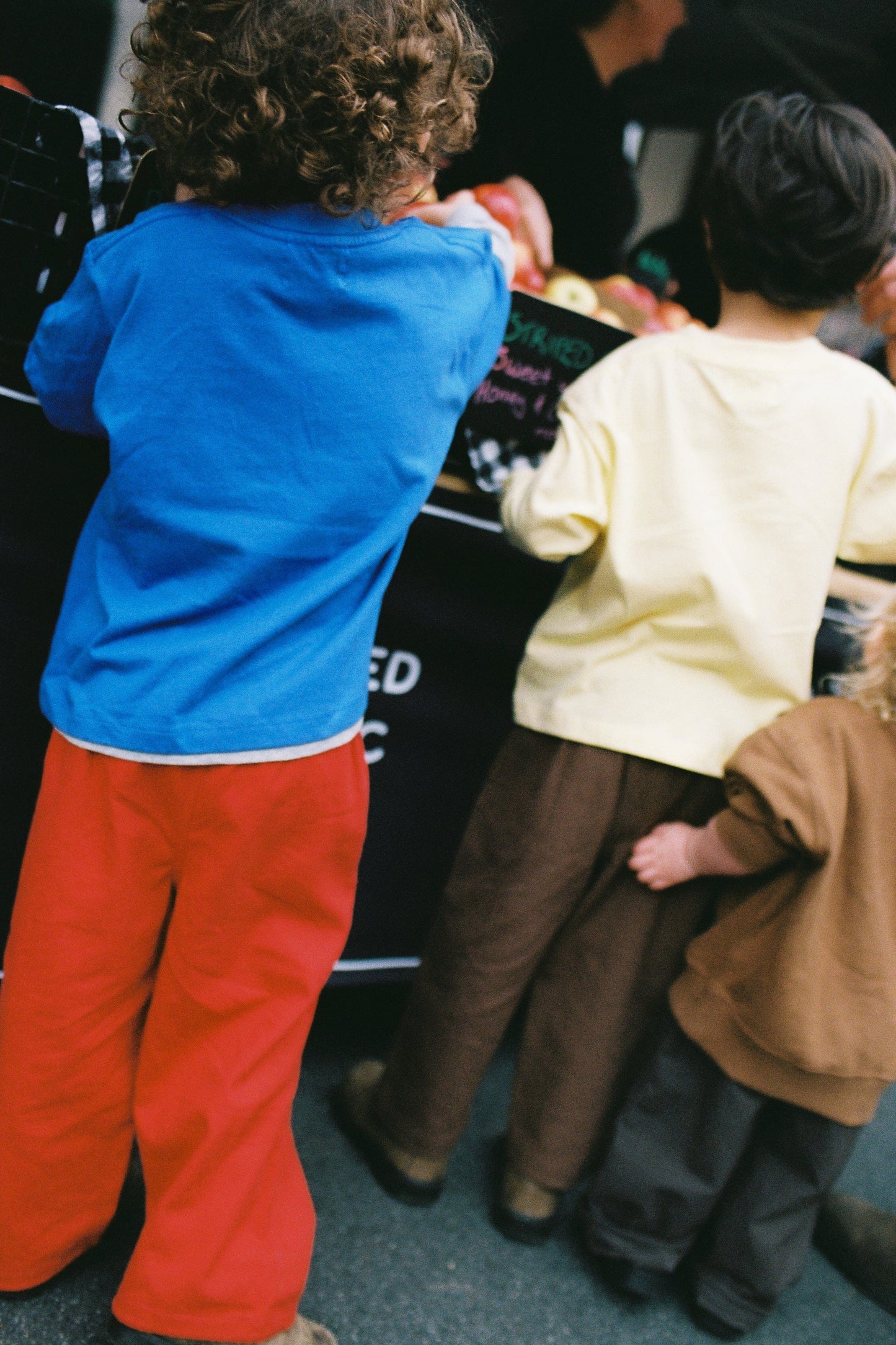 Nowadays Primary Pant